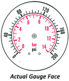 2.5" Dry Gauge - Center Back w/ Clamp (0 - 200 psi) - CDS-1P-015B