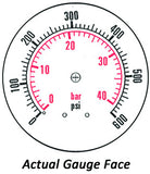 2.5" Dry Gauge - Center Back (0 - 600 psi) - CDS-1P-040D