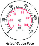 2.5" Gauge - Bottom Mount (0 - 1500 psi) - Liquid-filled - CF1P-100A