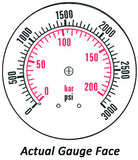 2.5" Gauge - Center Back w/ Clamp (0 - 3000 psi) - Liquid-filled - CF1P-210B