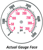 2.5" Gauge - Center Back w/ Clamp (0 - 5000 psi) - Liquid-filled - CF1P-350B