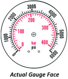 2.5" Gauge - Bottom Mount (0 - 6000 psi) - Liquid-filled - CF1P-420A